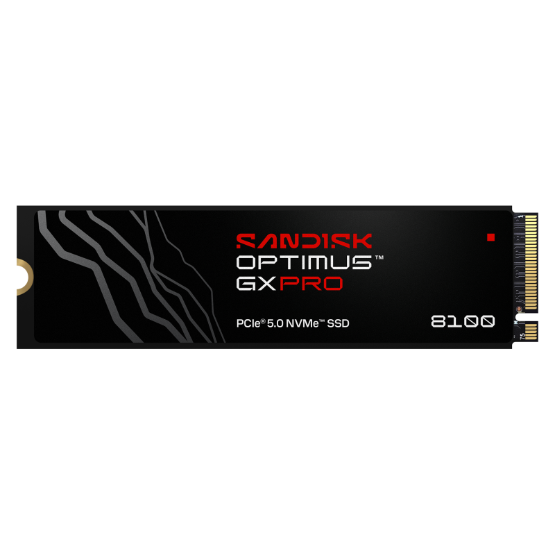 SanDisk Optimus GX PRO 8100 SSD, 2TB, NVMe, M.2 2280