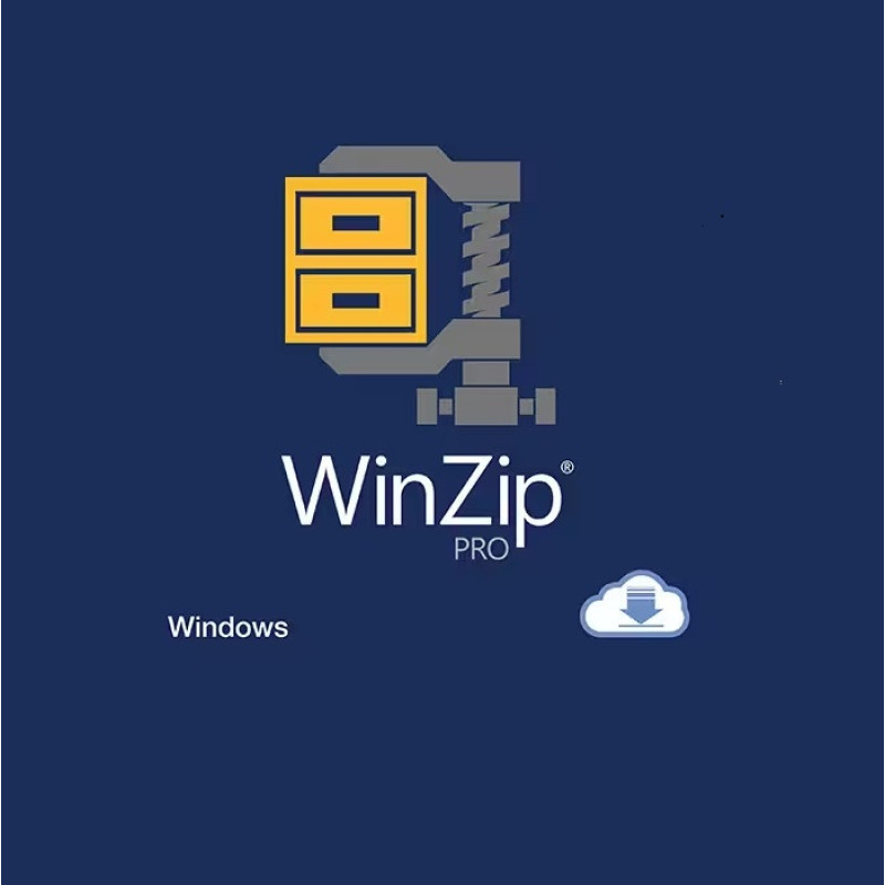 WinZip 28 Pro trajna licenca
