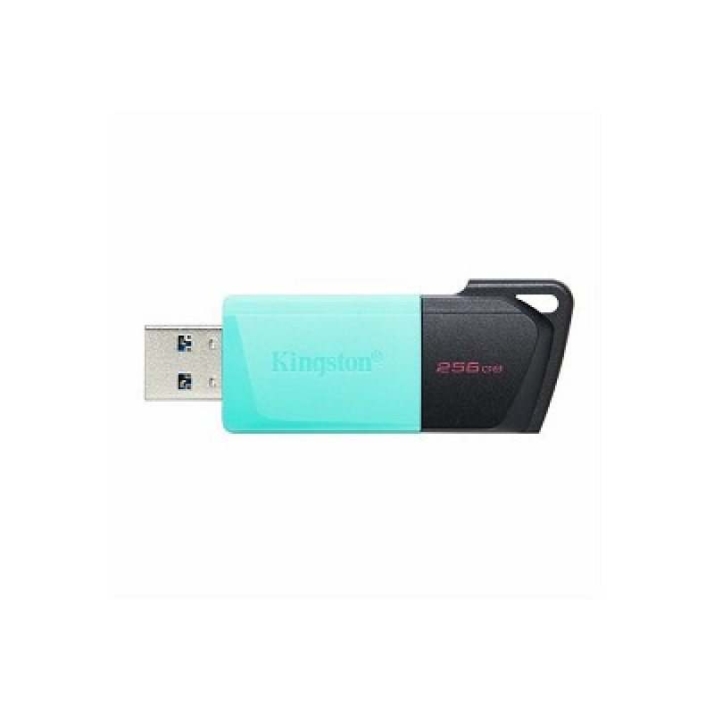 Kingston DataTraveler Exodia M, USB 3.2, 256GB
