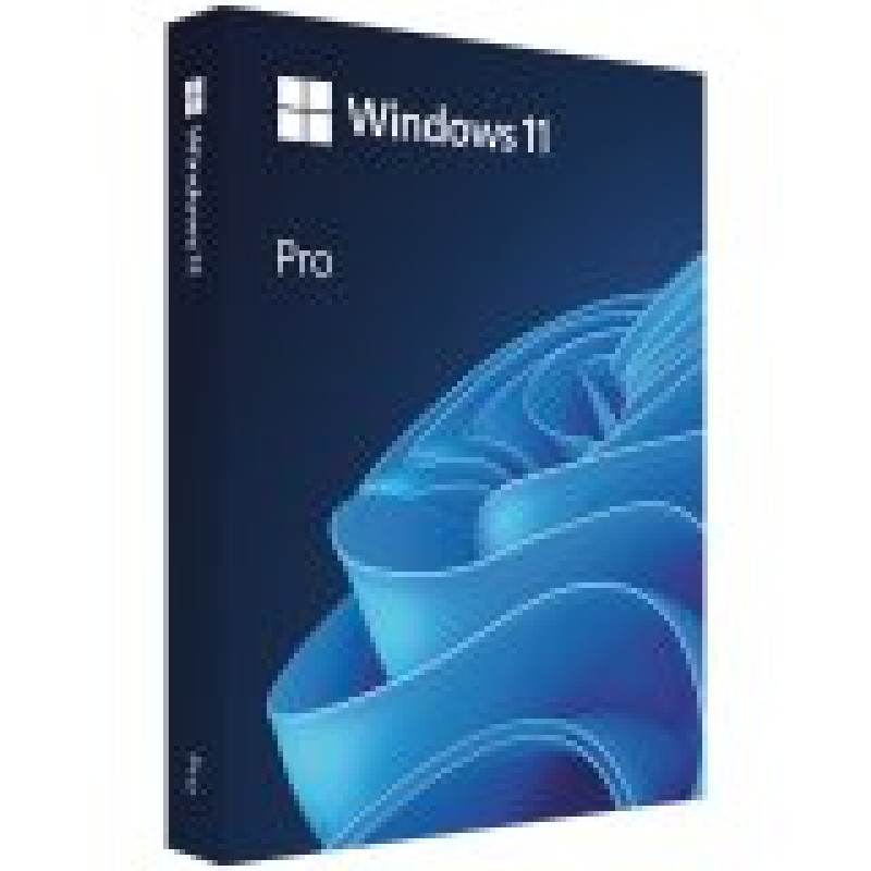 FPP Windows 11 Pro 64-bit Eng USB, HAV-00163
